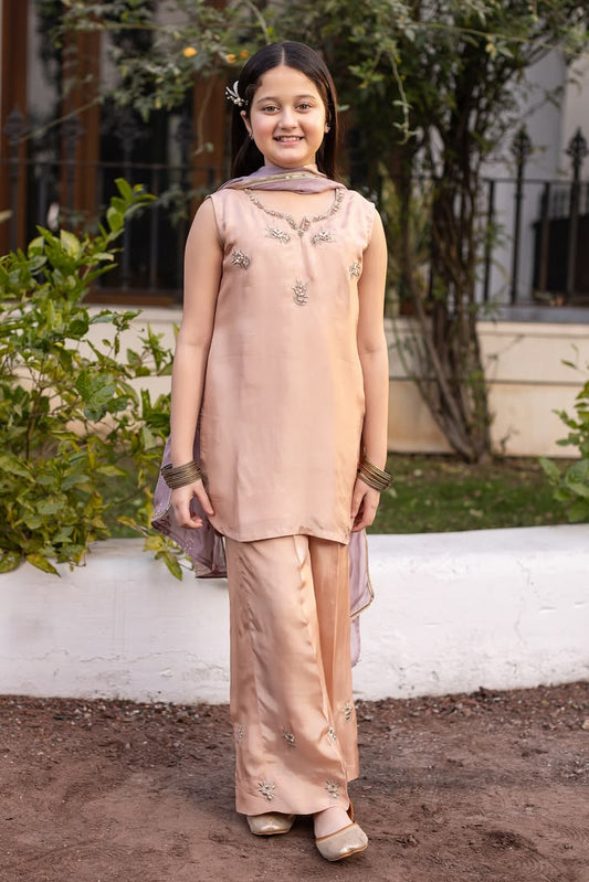 Blush Pearl Embroidered Suit